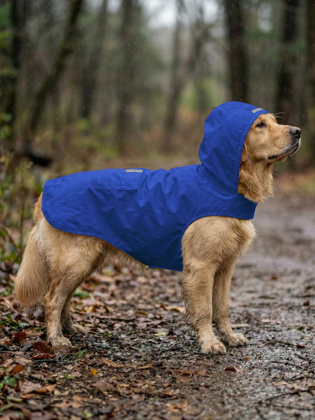 Haloumoning reflective pet jacket close up of the safety reflective trim in low light