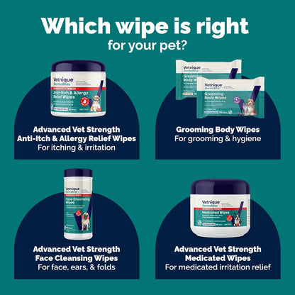 Vetnique antibacterial and antifungal wipes for dogs and cats treating hot spots.