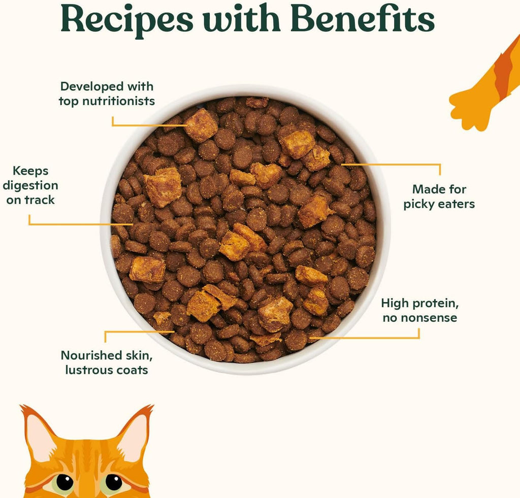 Chef crafted Made by Nacho premium cat kibble showing freeze dried pieces