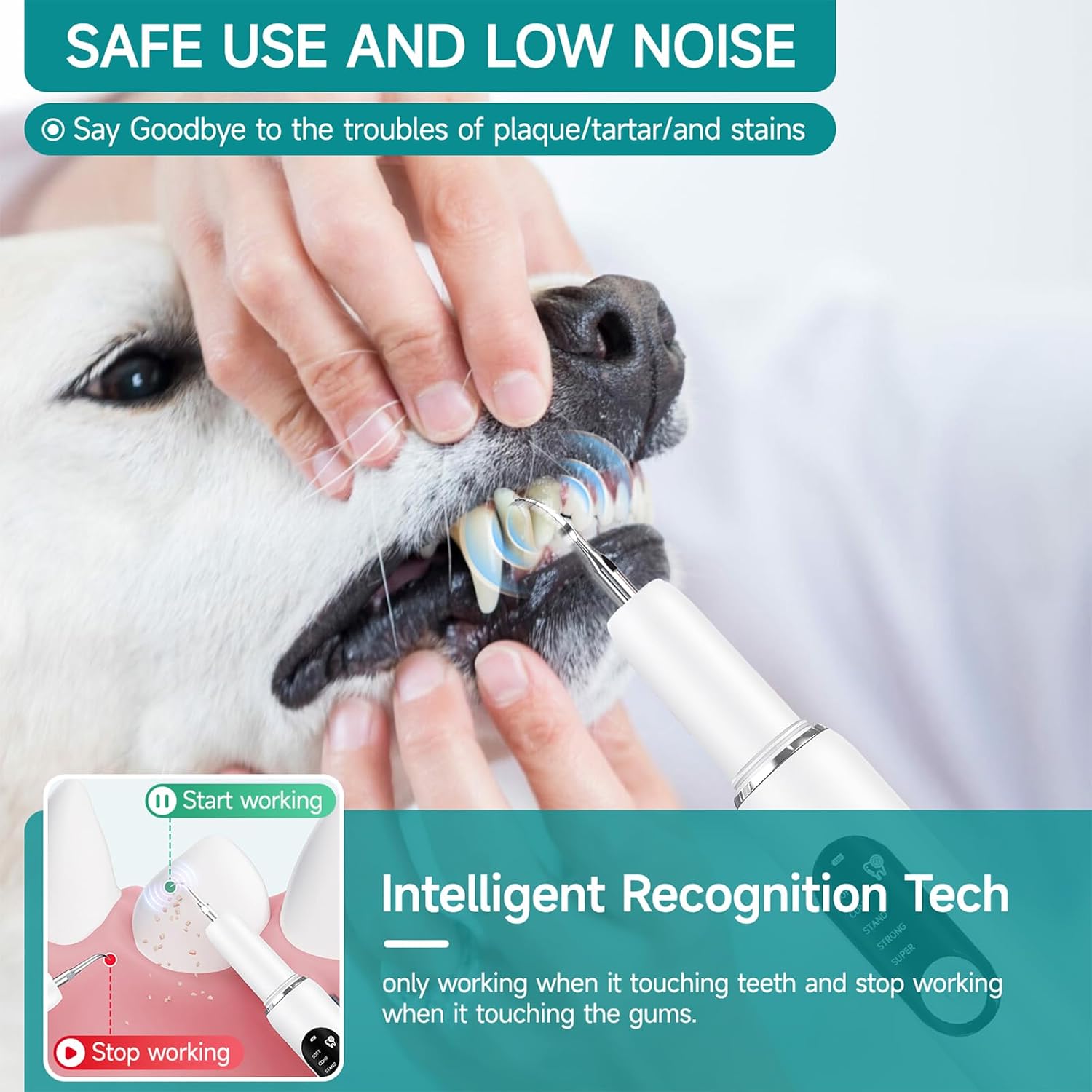 Close up of Qvkhpcl ultrasonic pet tartar remover device