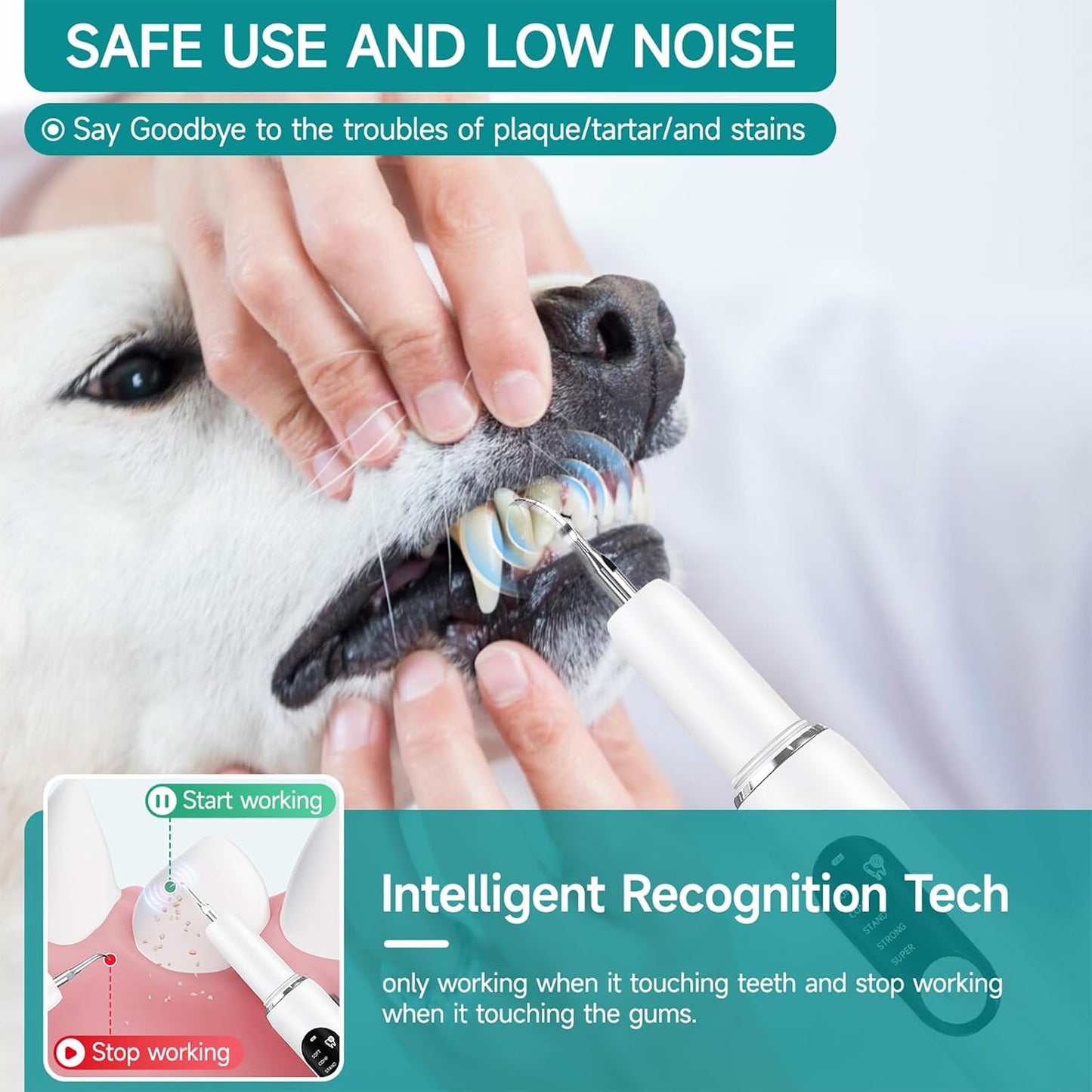 Close up of BFU Hxin pet dental scaler with LED light