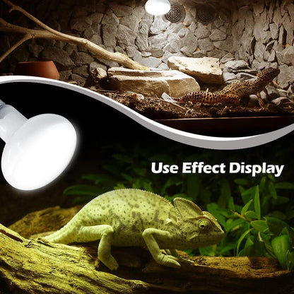 Thickened explosion proof glass design of the MCLANZOO reptile heating lamp for bearded dragons and lizards
