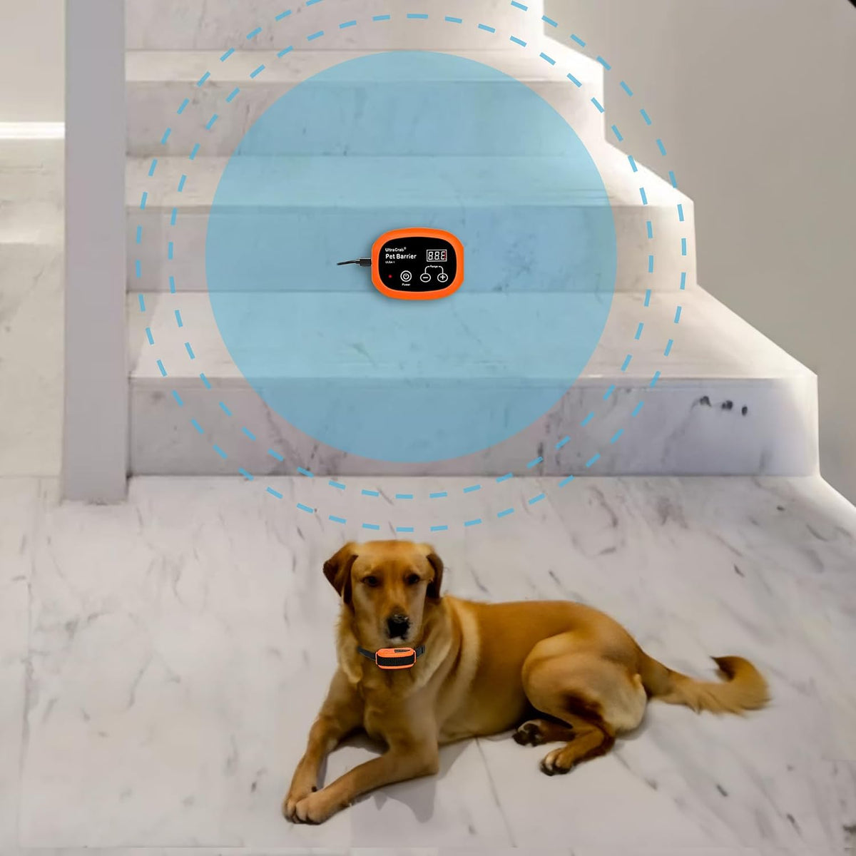 Wireless electric pet fence transmitter sitting on a kitchen counter to keep dogs away.