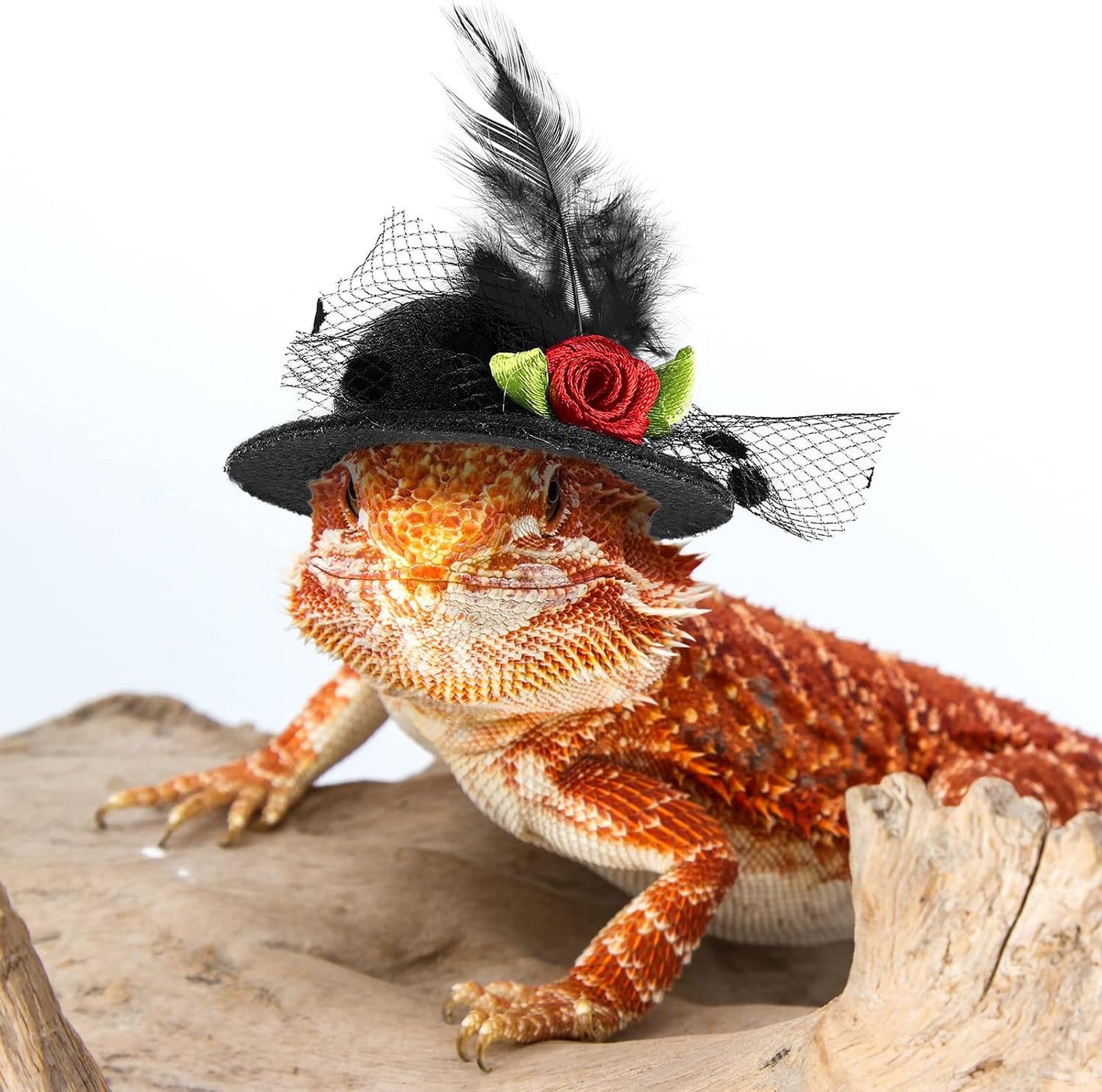 Adjustable chicken costume accessories set including black and purple mini hats.