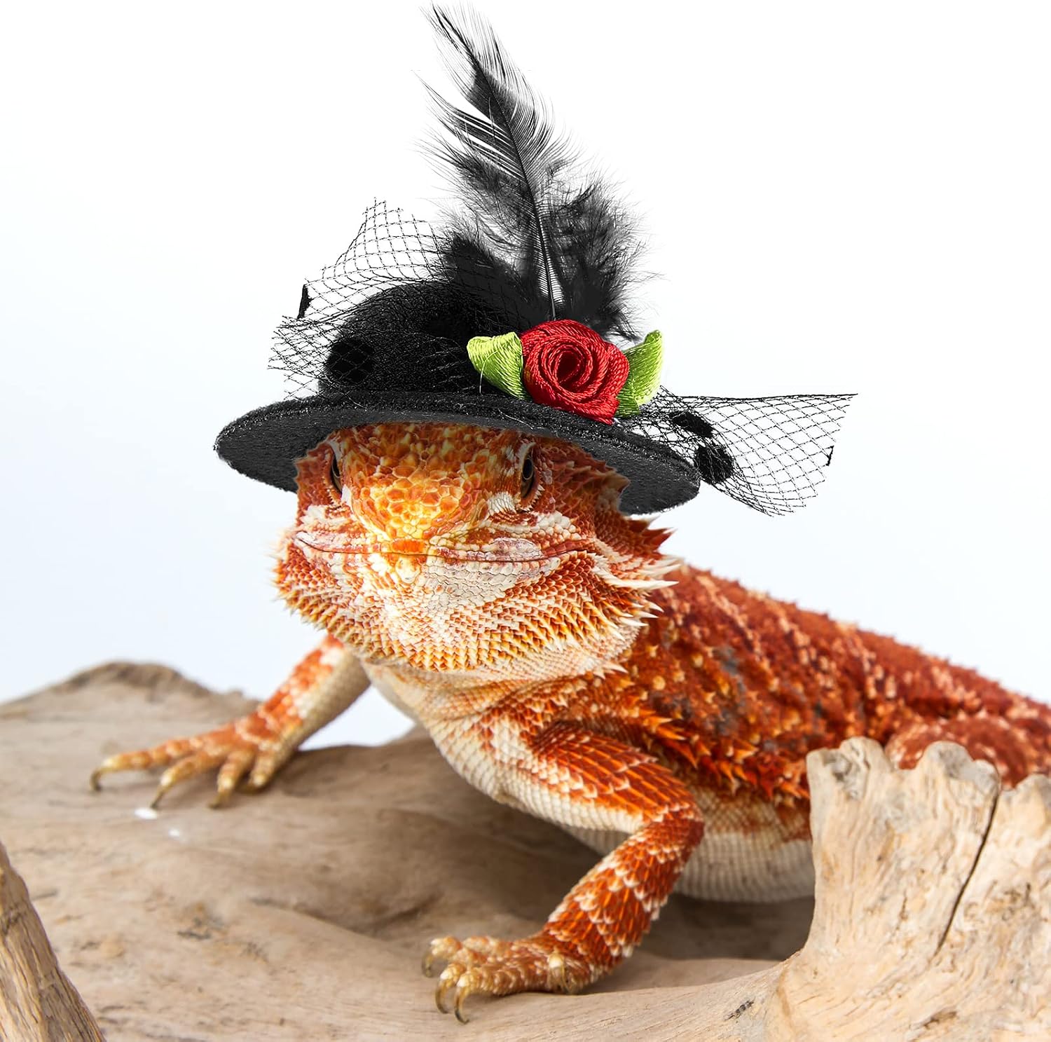 Adjustable chicken costume accessories set including black and purple mini hats.