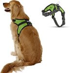 No Pull Reflective Adjustable Dog Harness with Handle- Comfortable Soft All Weather Mesh, Easy On Puppy Harness for Small Medium and Large Dogs (Red) Small - Image 11