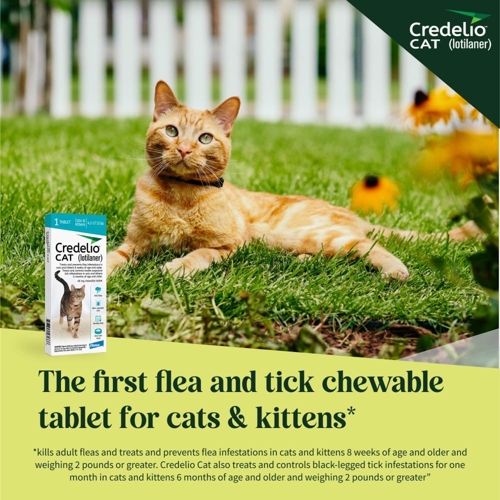Close up of Credelio cat health product box