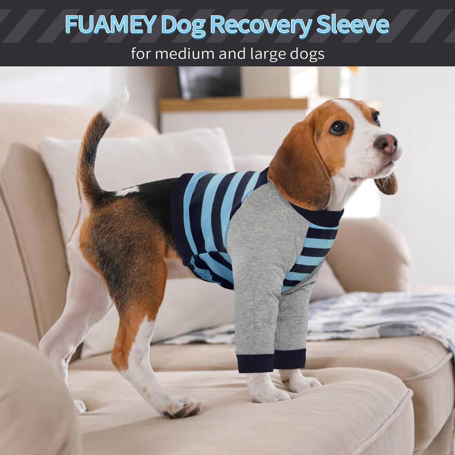 FUAMEY dog joint protection sleeve showing secure fit on a large dog breed