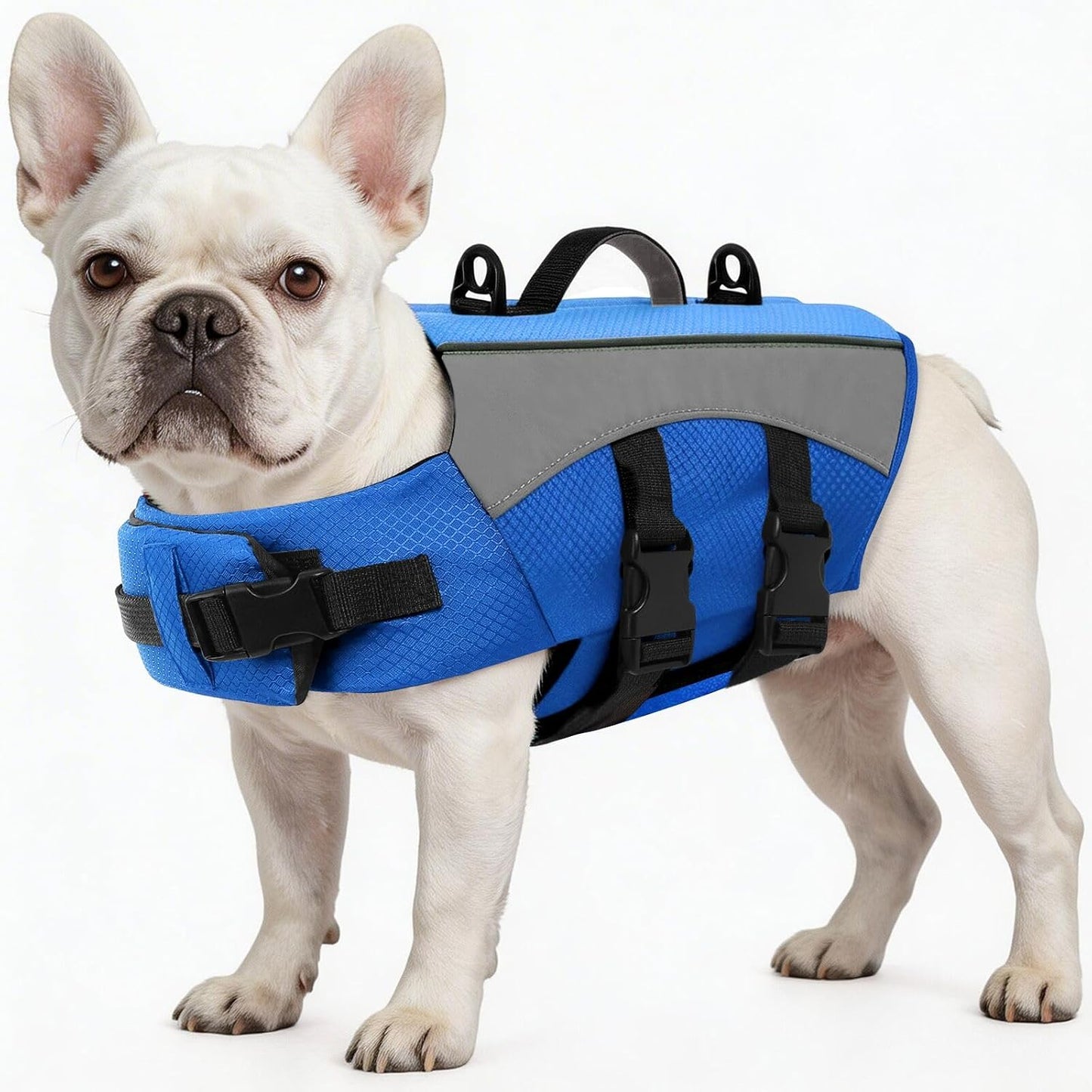 ASENKU Dog Life Jacket with Reflective Stripes, Adjustable High Visibility Dog Safety Vest, Ripstop Lifesaver, Pet Preserver with High Flotation Swimsuit for Small, Medium and Large Dogs (Red, 2XL) - Image 10