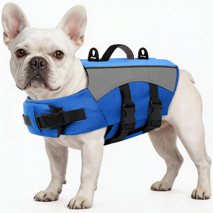 ASENKU Dog Life Jacket with Reflective Stripes, Adjustable High Visibility Dog Safety Vest, Ripstop Lifesaver, Pet Preserver with High Flotation Swimsuit for Small, Medium and Large Dogs (Red, 2XL) - Image 10