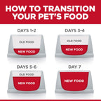 Bowl filled with soft chunks of Hill's Science Diet wet cat food in rich sauce
