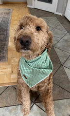 Lionet Paws dog bandana featuring the signature brown leather patch detail