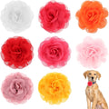 InnoHHustle 8 Pieces Dog Collar Accessories front view featuring eight colorful chiffon flower charms for pet grooming.