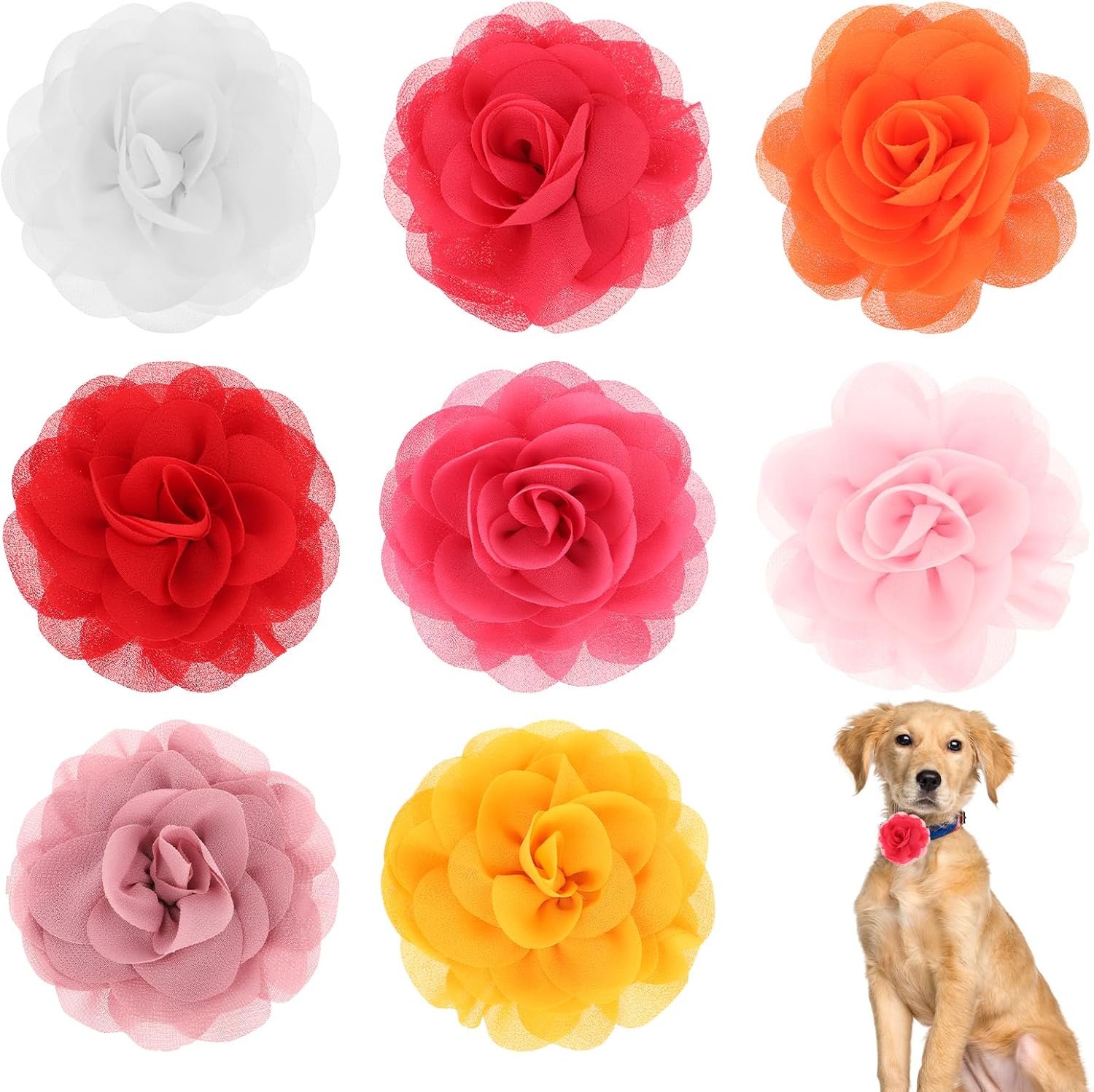 InnoHHustle 8 Pieces Dog Collar Accessories front view featuring eight colorful chiffon flower charms for pet grooming.