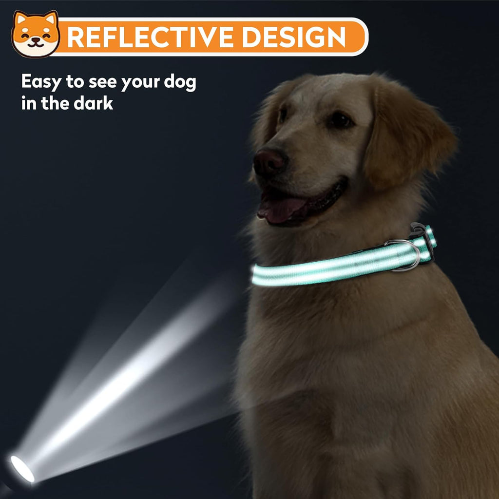 High visibility reflective strips on PWOD pet collar