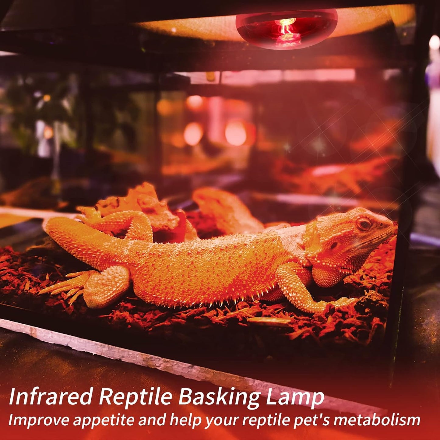 REPTI HOME infrared heat emitter installed in a ceramic socket fixture.