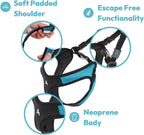 Small dog wearing turquoise Gooby escape-free harness