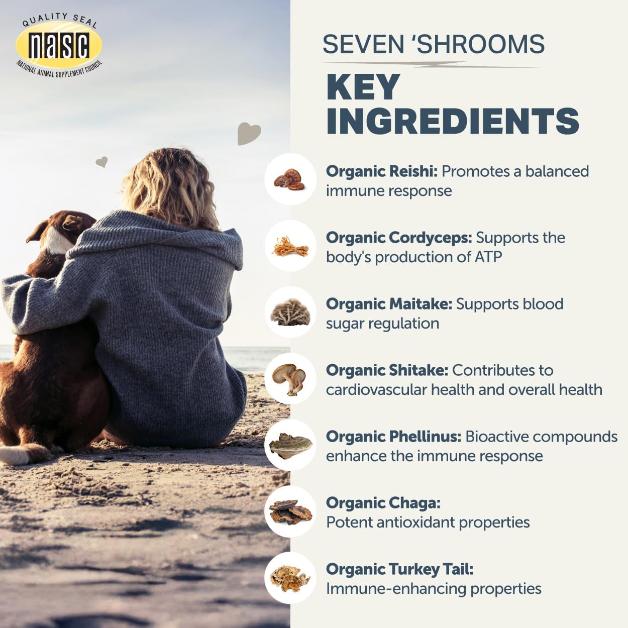 Authentic USA imported dog wellness powder product packaging overview