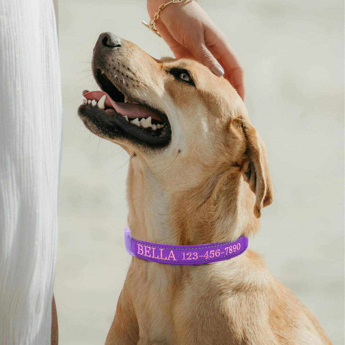 CHRYMPETIC adjustable custom dog collar with reflective stitching feature