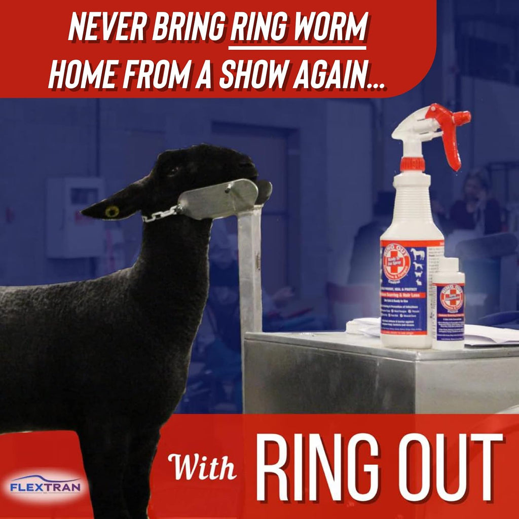Ring Out antifungal spray for professional animal care