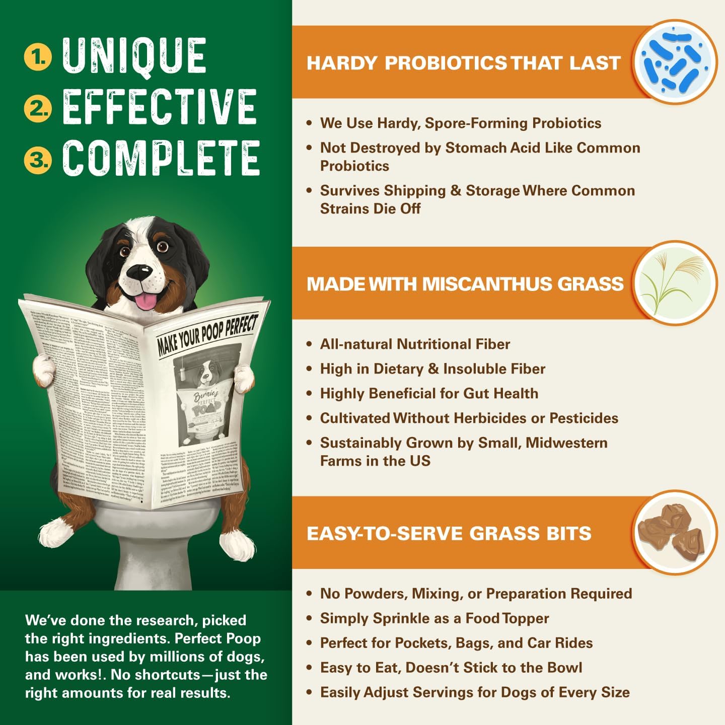 Bernie's Perfect Poop dog supplement 4-in-1 formula ingredients