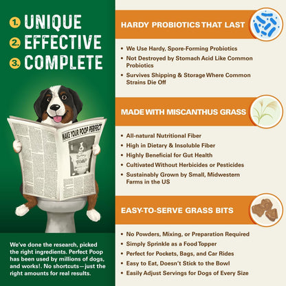 Bernie's Perfect Poop dog supplement 4-in-1 formula ingredients