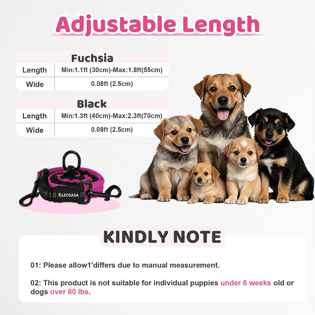 Dual pet walking leash with three hundred sixty degree rotating metal buckle close up.