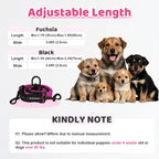 Dual pet walking leash with three hundred sixty degree rotating metal buckle close up.