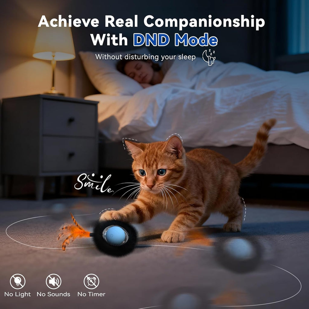Cat engaging with smart interactive pet toy features