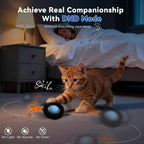 Cat engaging with smart interactive pet toy features