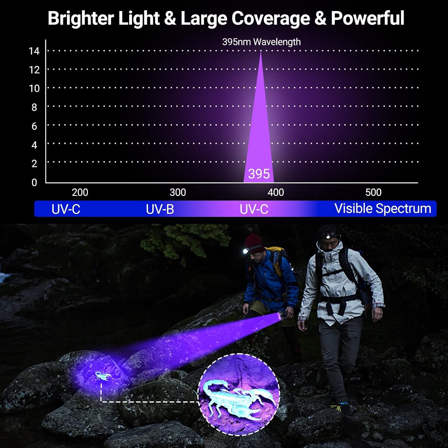 Handheld UV flashlight tracking dog urine stains on carpet
