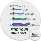 Sweet Feet and Beak Safety Pumice Bird Perch, Small Pedicure Perch, Green - Image 3