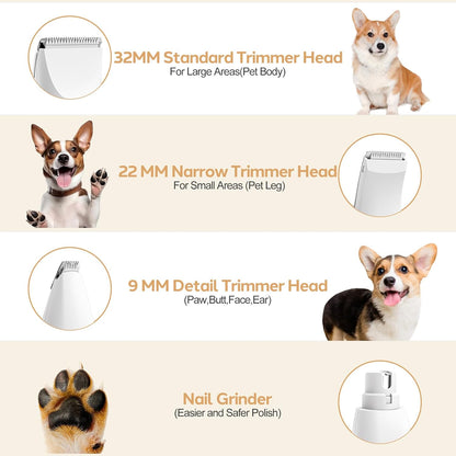 Masagotti dog trimmer kit displaying all four interchangeable heads including the nail grinder attachment.