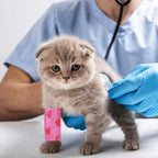 Close up of self adhesive pet bandage texture