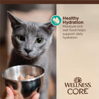 Wellness CORE protein rich grain free wet food for adult cats with sensitive stomachs