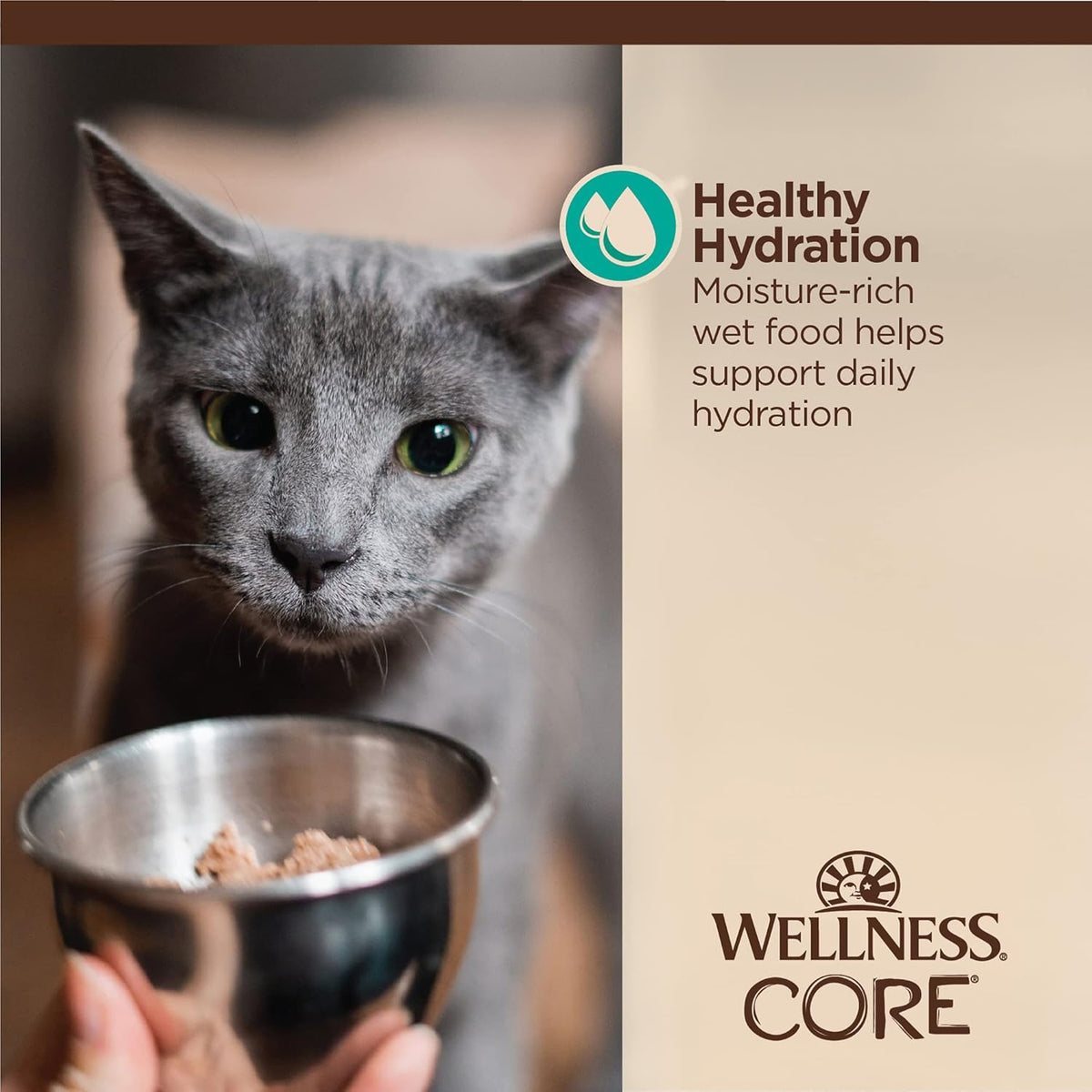 Wellness CORE protein rich grain free wet food for adult cats with sensitive stomachs