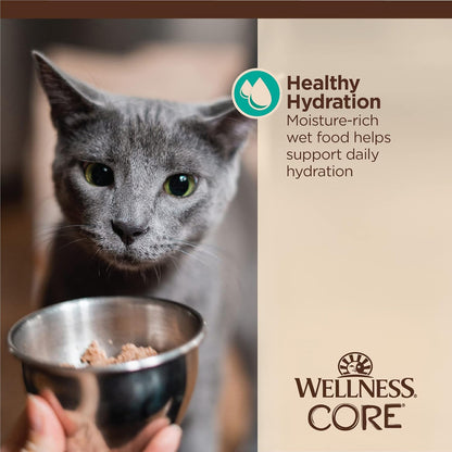 Wellness CORE protein rich grain free wet food for adult cats with sensitive stomachs