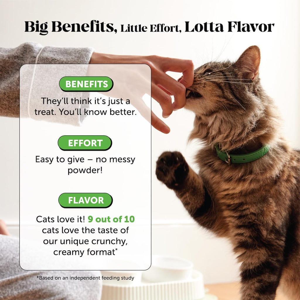 Cat enjoying Pet Honesty dual texture urinary treats