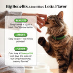 Cat enjoying Pet Honesty dual texture urinary treats