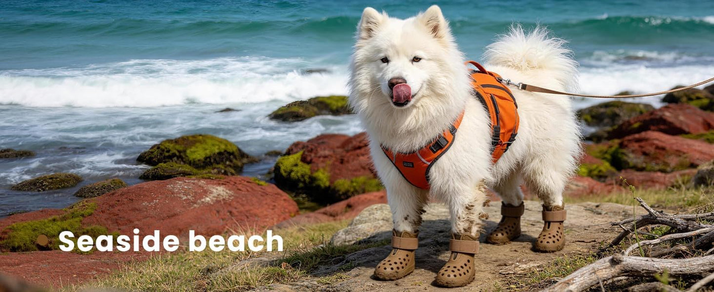 Hertiendo dog shoes showcasing durable rubber construction