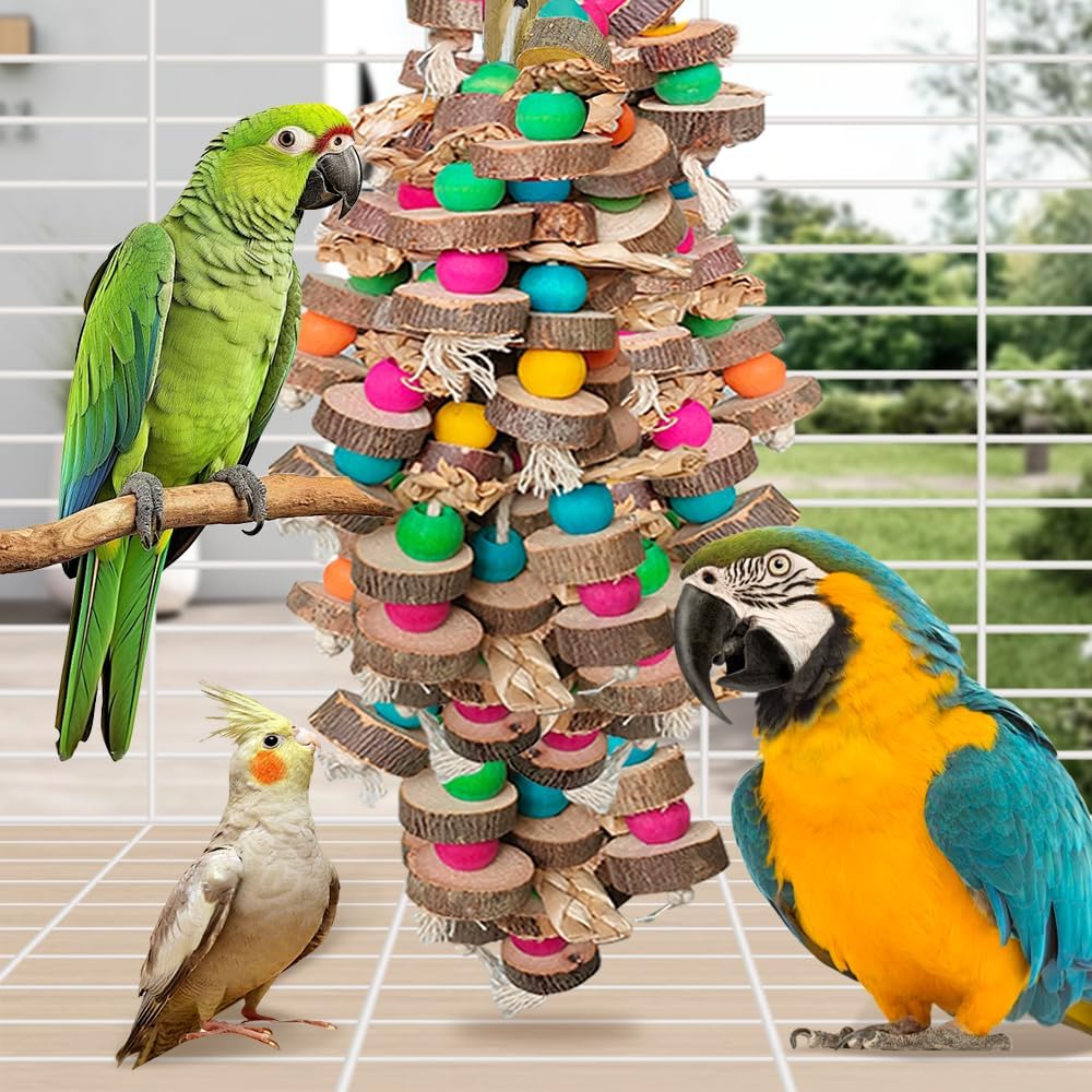 African Grey parrot interacting with HZDZ LCPAW colorful wooden toy