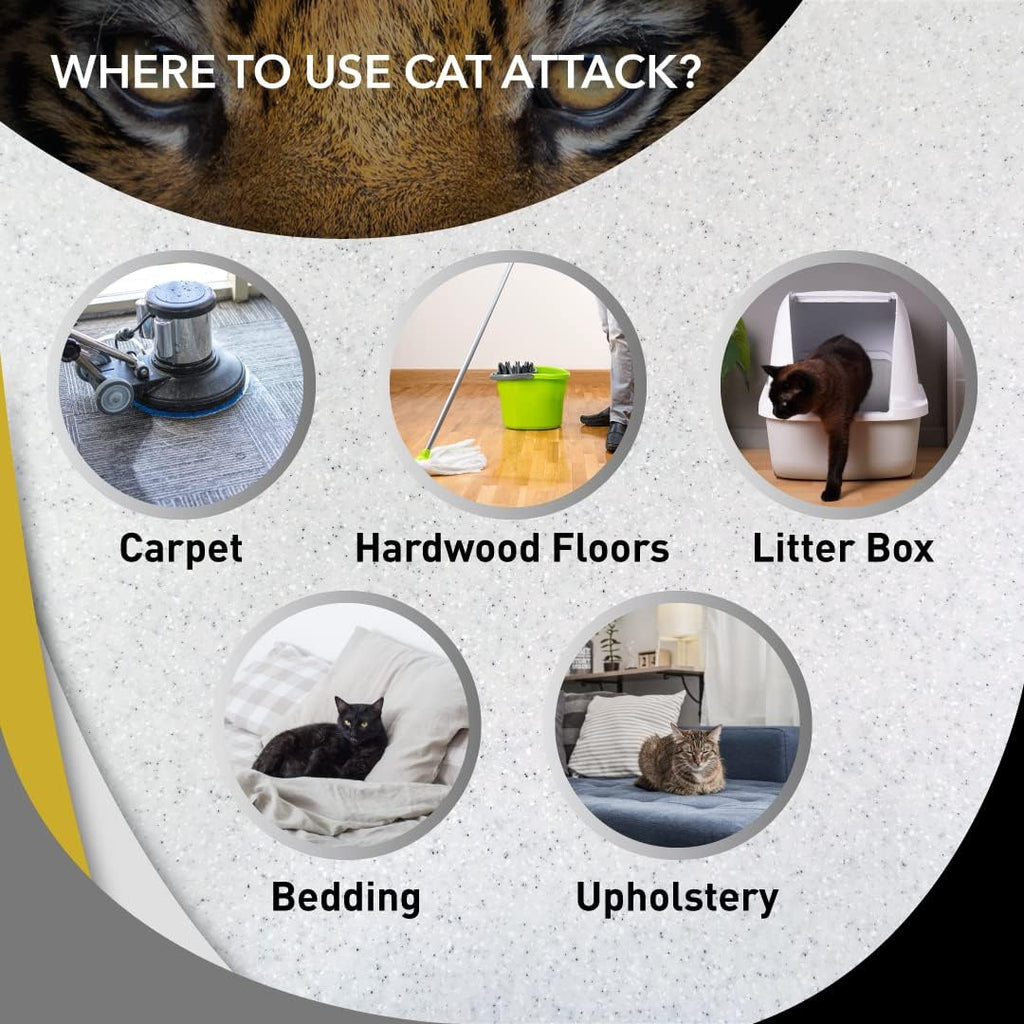 Professional pet urine remover applied to carpet stains
