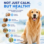Ttlxrl puppy and adult dog calming supplement jar showcasing grain free features