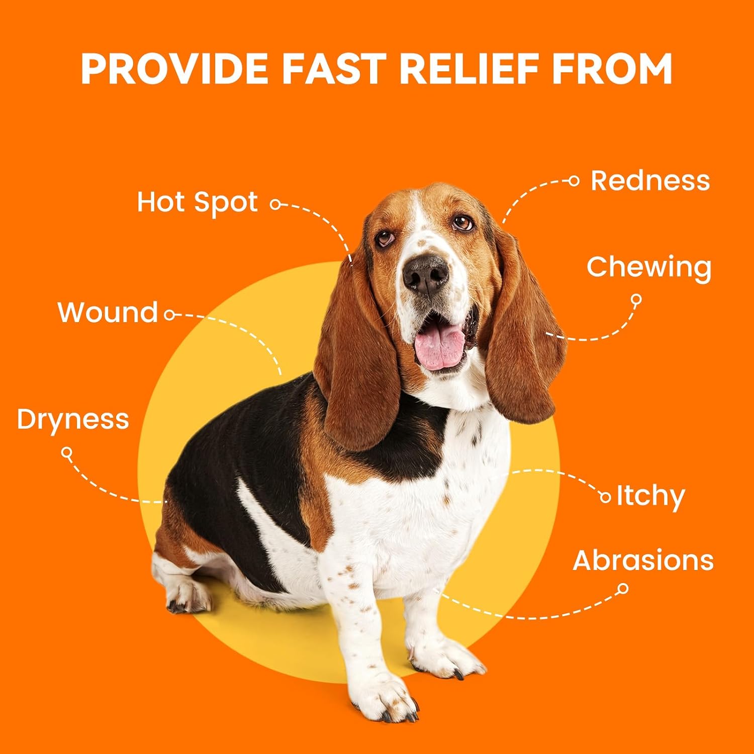 Puainta two ounce advanced nano silver veterinary strength dog spray