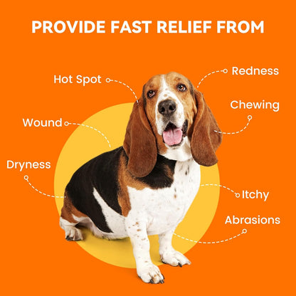 Puainta two ounce advanced nano silver veterinary strength dog spray
