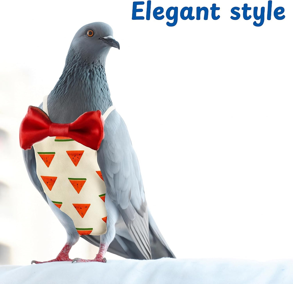 Homedy Crafts bird diaper pants worn by a pet pigeon