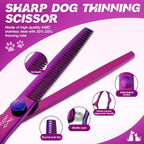 JASON professional pet shears set with straight and thinning scissors spread out