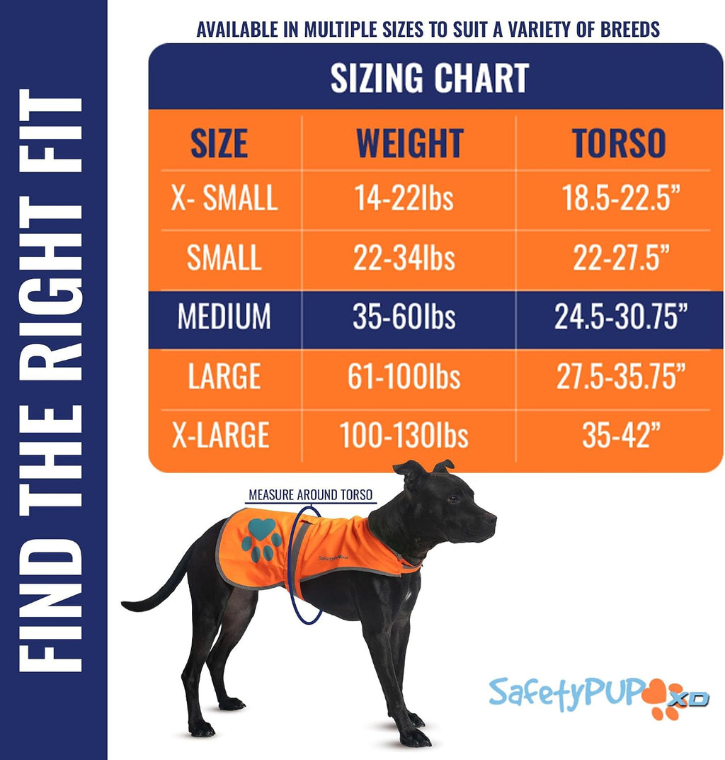 Medium size SafetyPUP XD dog vest showing reflective trim details