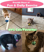 Quiet interactive chasing balls for small and medium cats pet entertainment