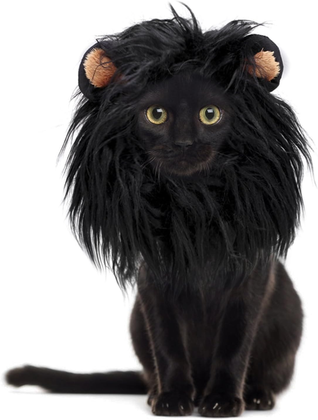 Soft long plush texture of pet lion mane
